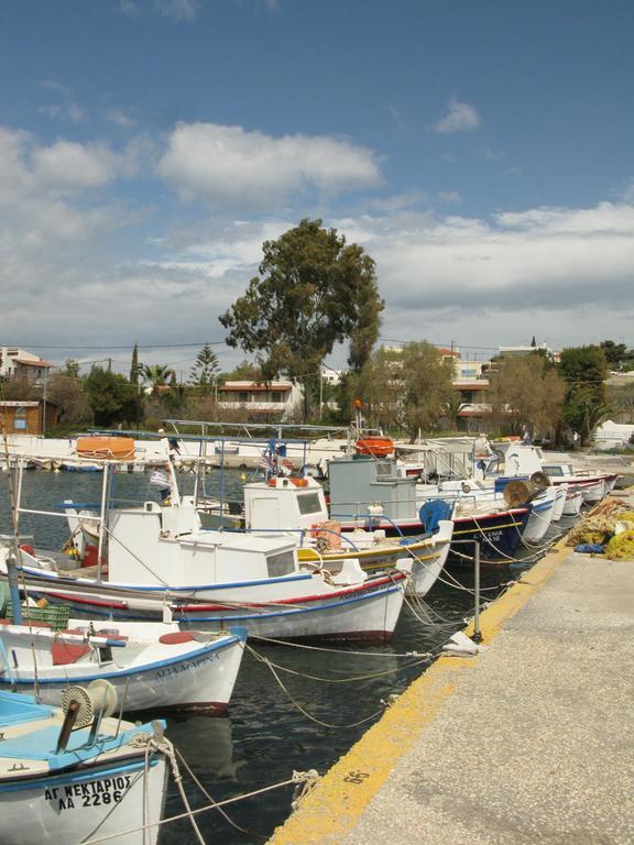 Stefanie Studios Aegina Dış mekan fotoğraf